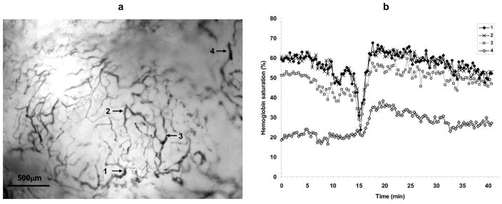 Fig. (6)