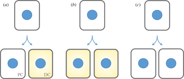 Figure 2.