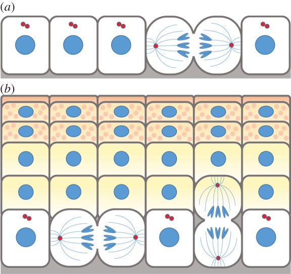 Figure 3.