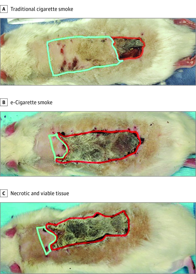 Figure 2. 