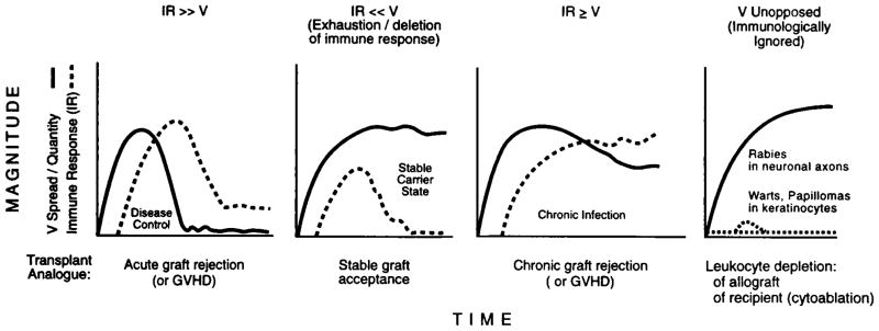 Fig. 11