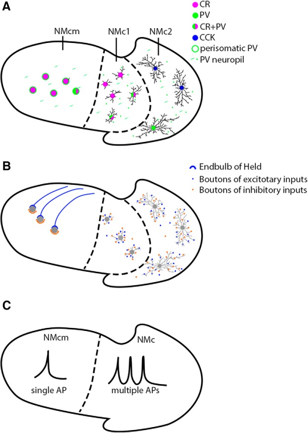 Figure 12.