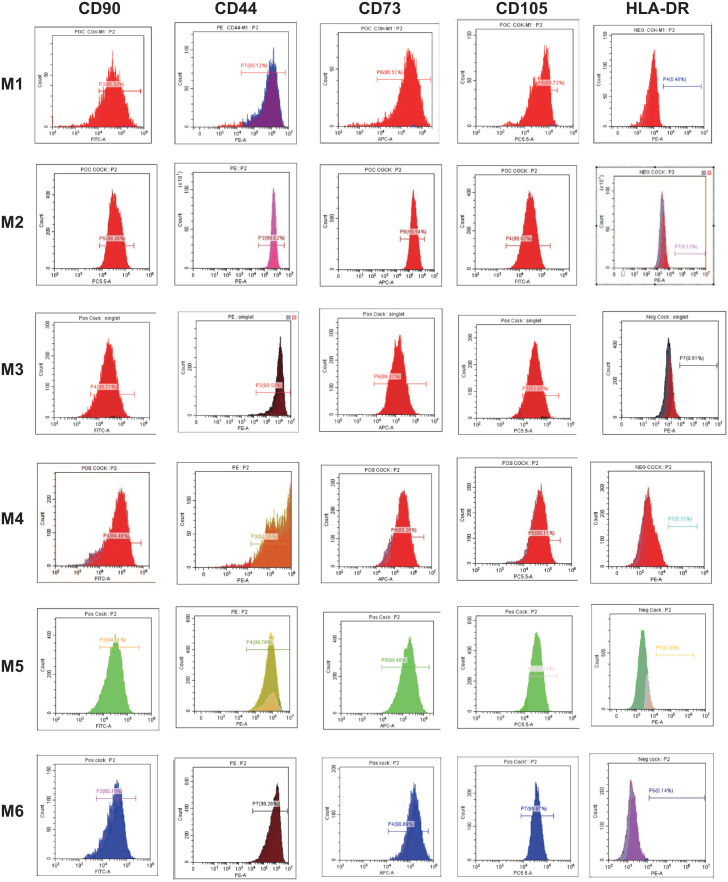 Figure 2.