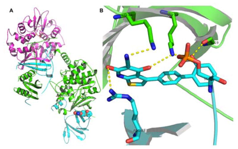 Figure 6