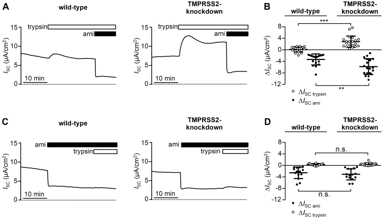 Figure 12