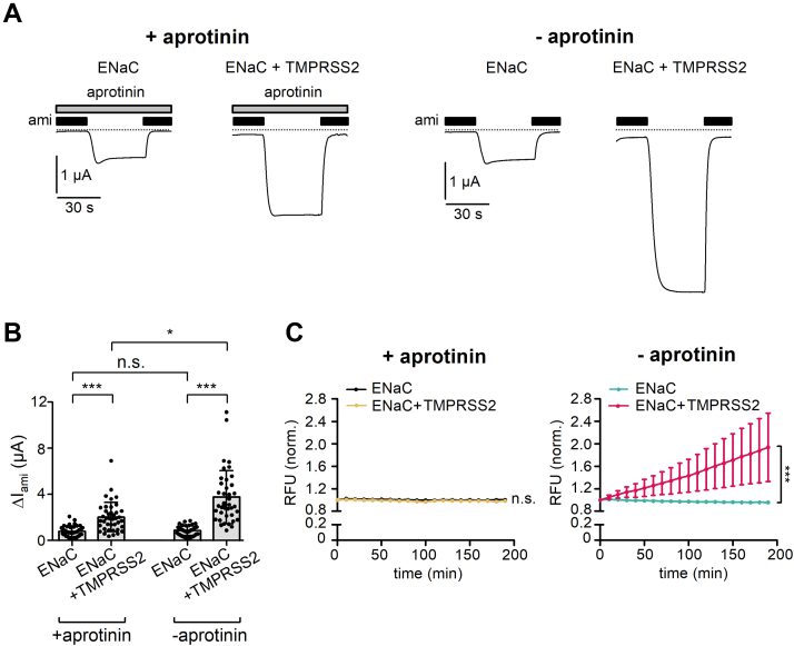 Figure 3