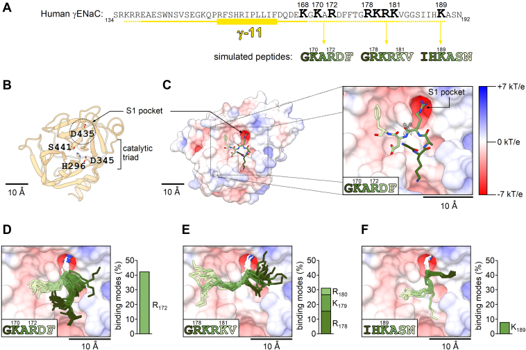 Figure 6