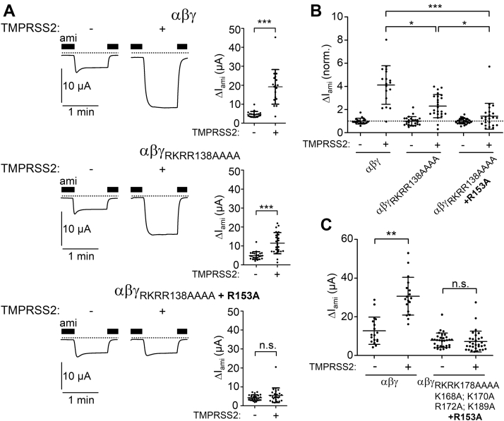 Figure 10