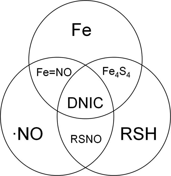 FIG. 1.