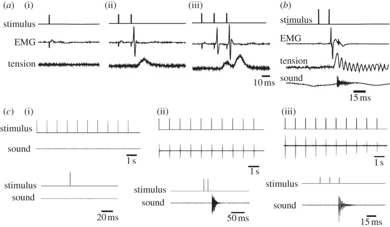 Figure 5.