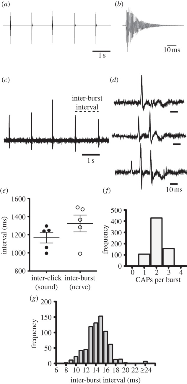 Figure 3.