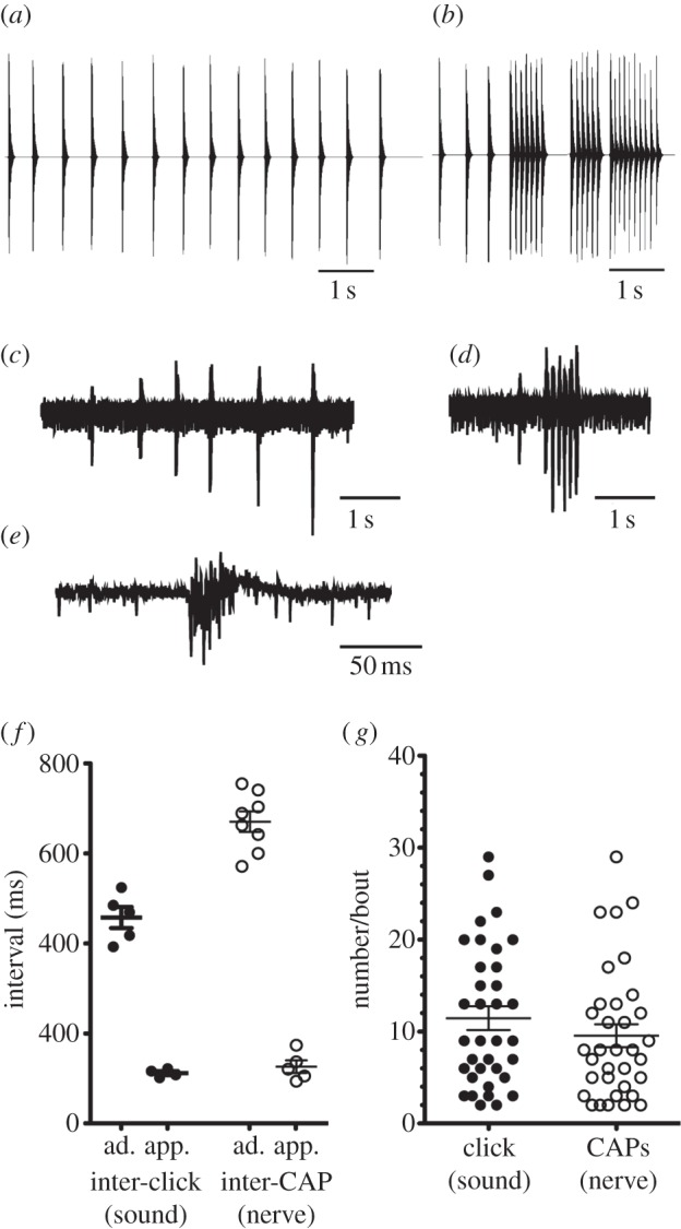 Figure 2.