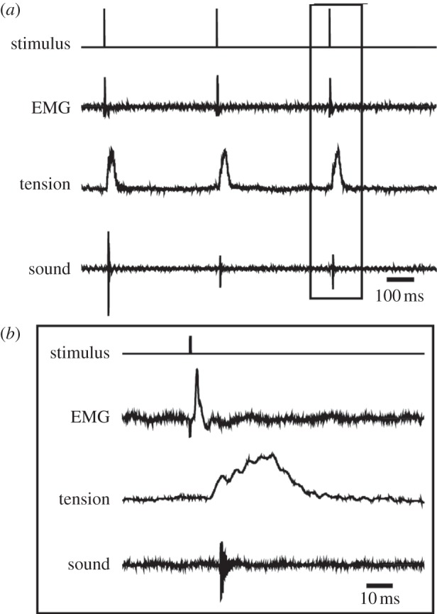 Figure 4.