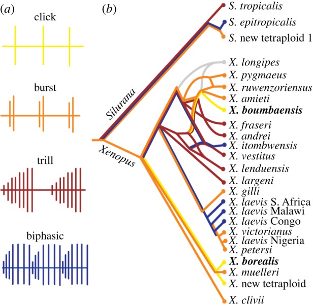 Figure 1.