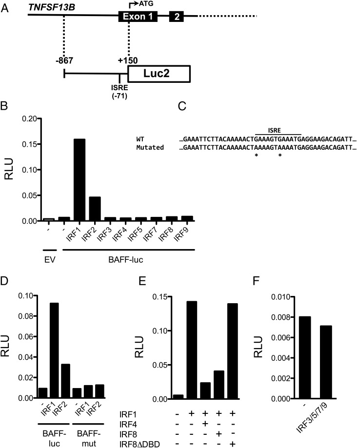 FIGURE 4.