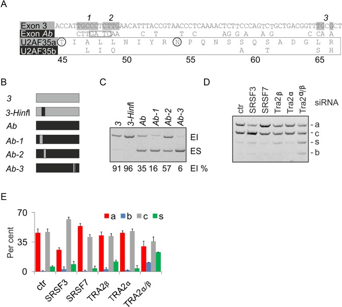 Figure 4.