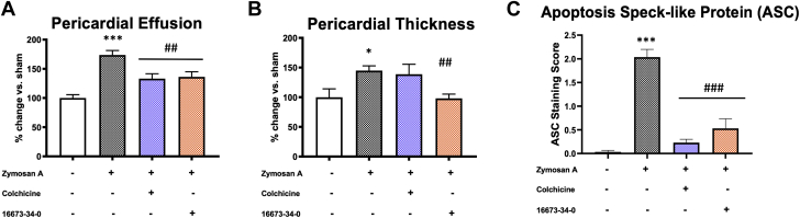 Figure 6