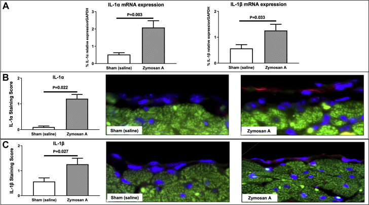 Figure 4