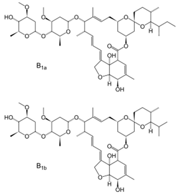 graphic file with name pharmaceutics-14-01579-i005.jpg