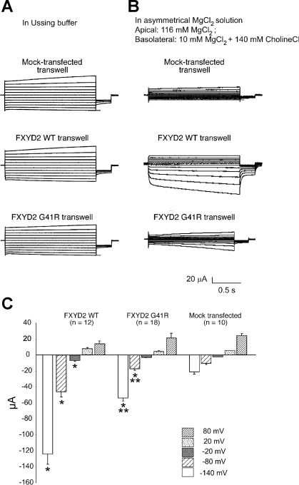 Fig. 7.