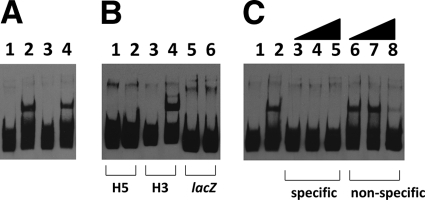 Fig. 4.