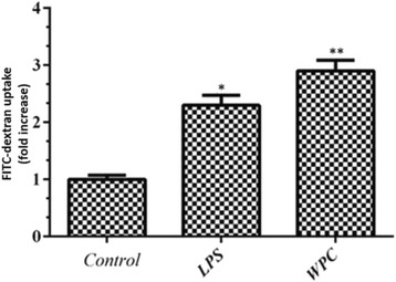 Fig. 2