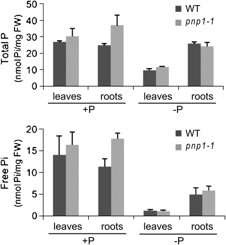 Figure 6.