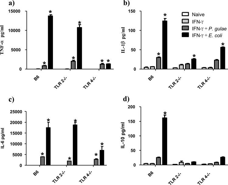 FIG 6