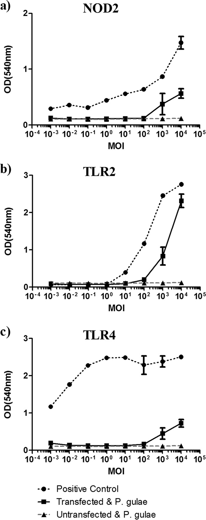 FIG 1