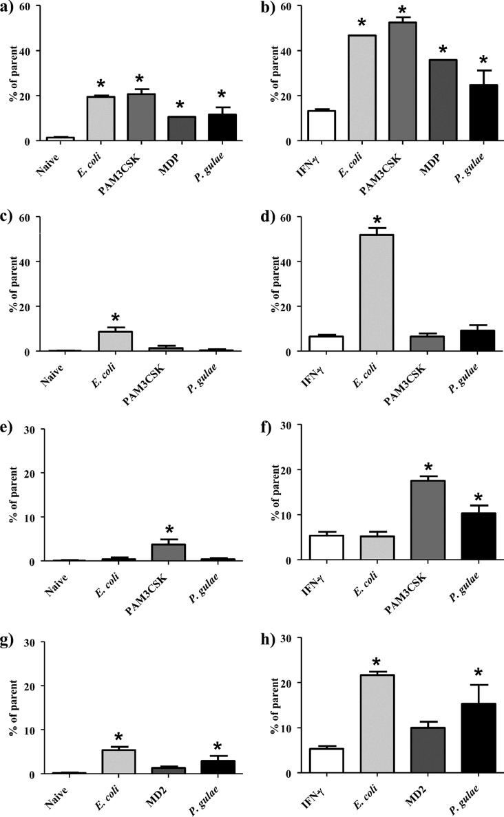 FIG 2