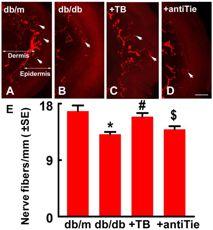 Figure 4: