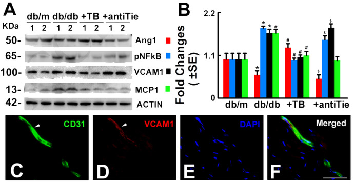 Figure 5: