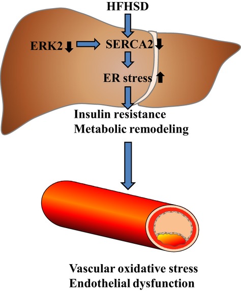 Figure 11.