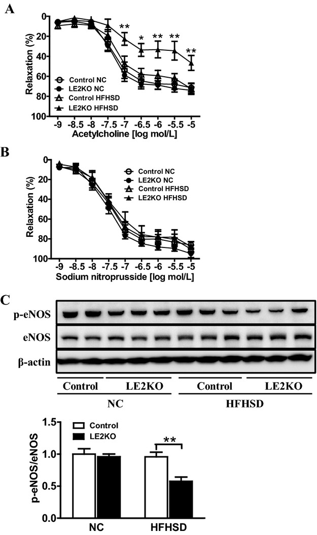 Figure 10.