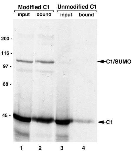 FIG. 9.