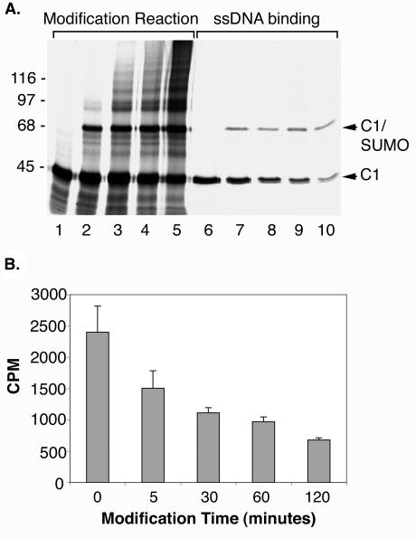 FIG. 8.