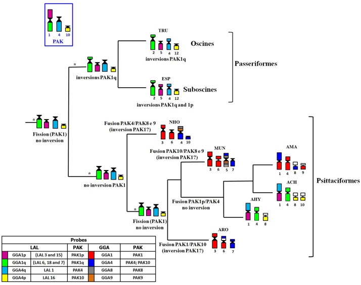 Fig 6