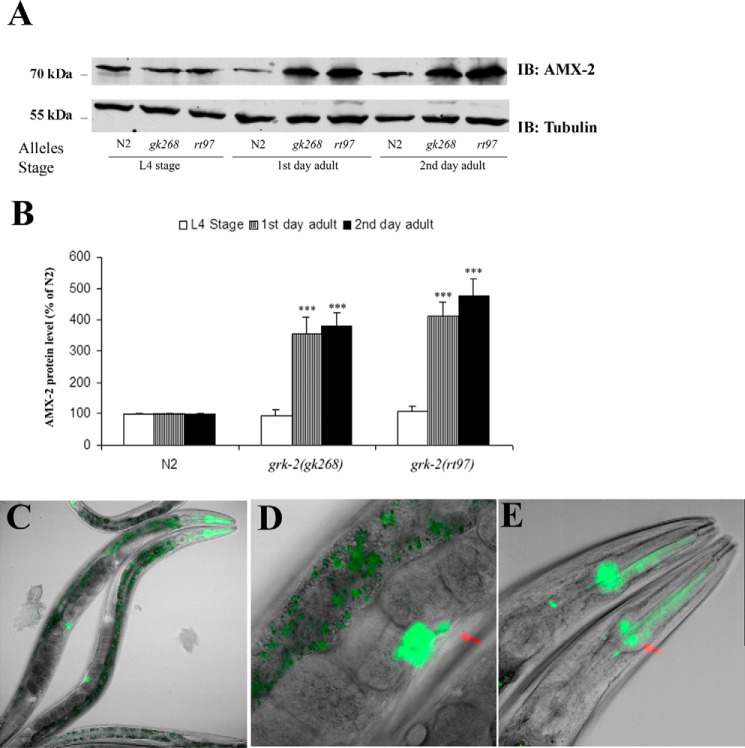 Figure 6.