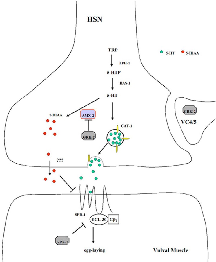 Figure 9.