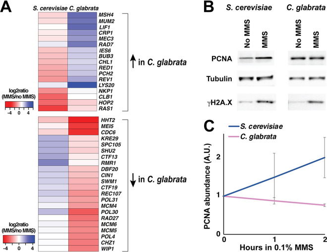 FIG 6