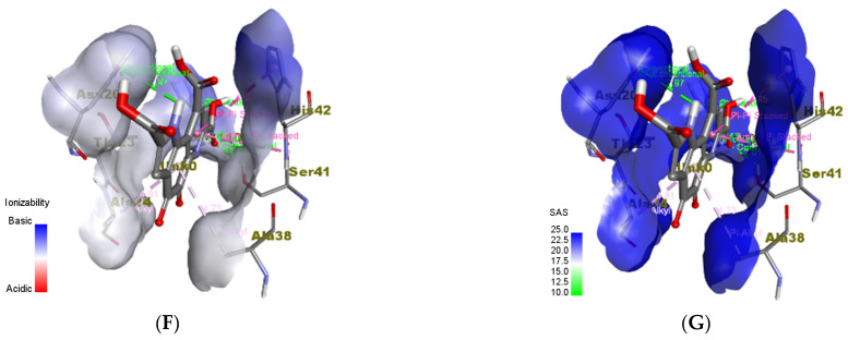 Figure 10