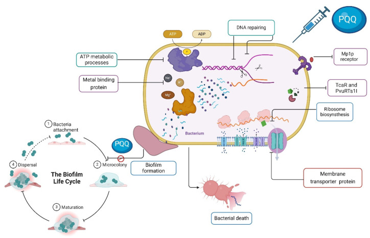 Figure 11