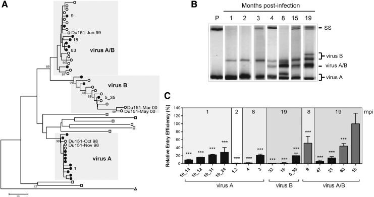 FIG. 1.