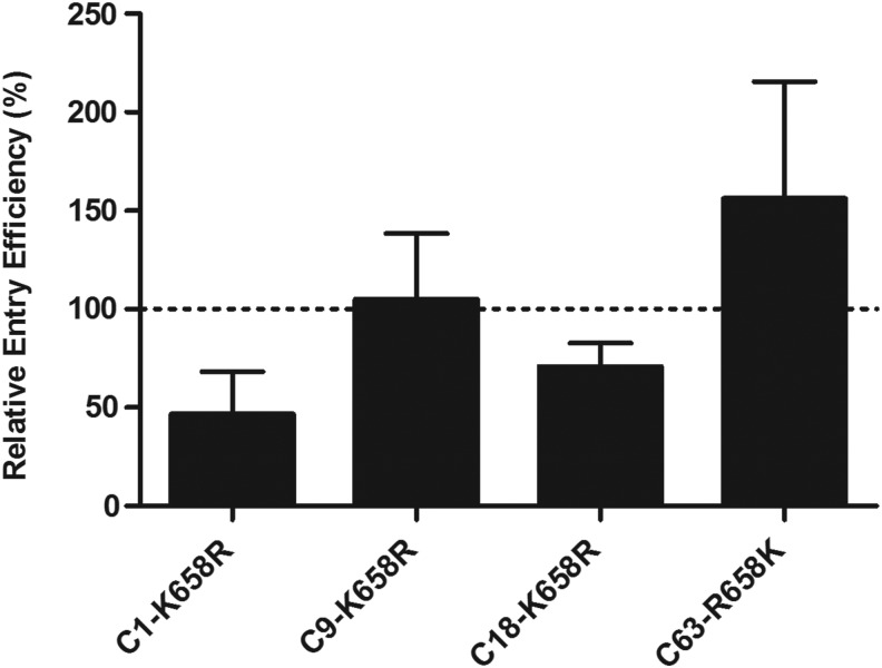 FIG. 3.