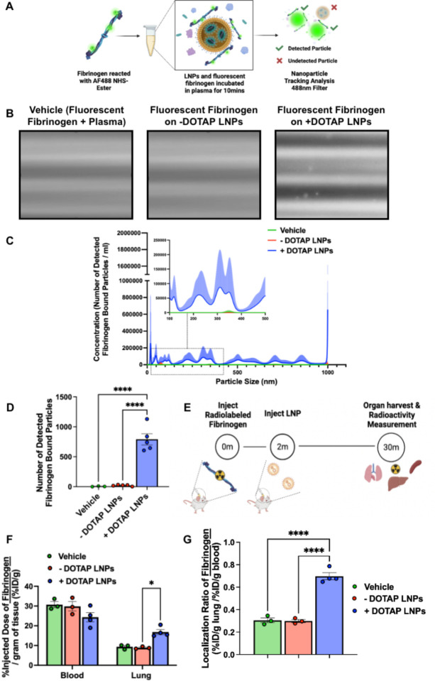 Figure 4: