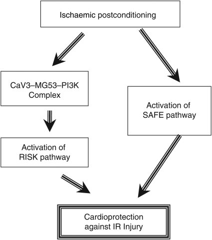 Figure 5