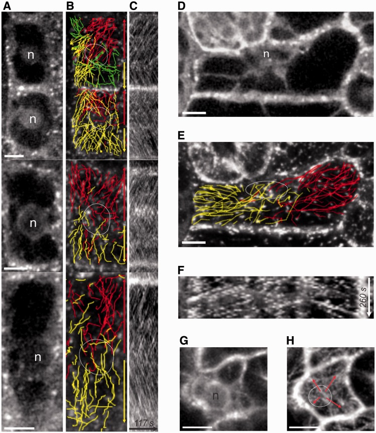 Fig. 4