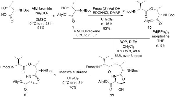 Scheme 2