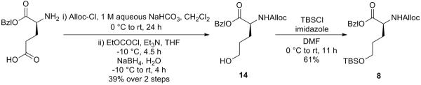 Scheme 4