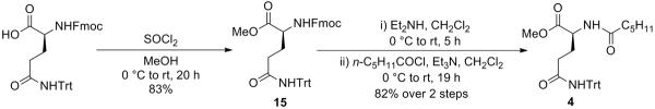 Scheme 5